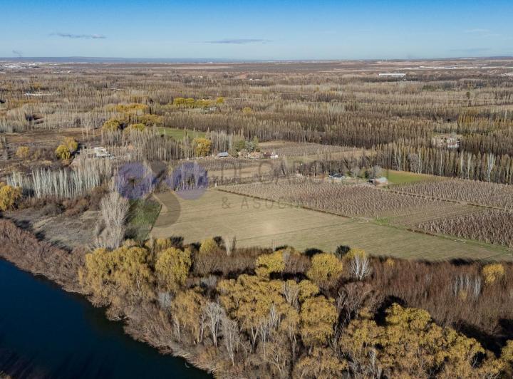 Terreno · 50000m²