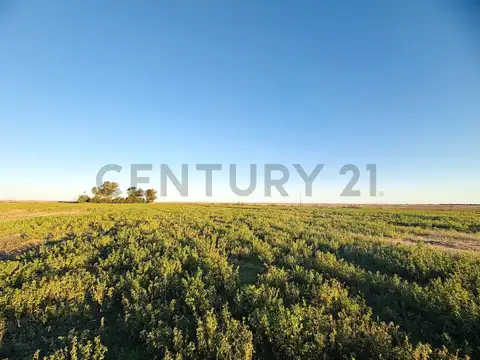 Campo en Venta en Melincue, General López