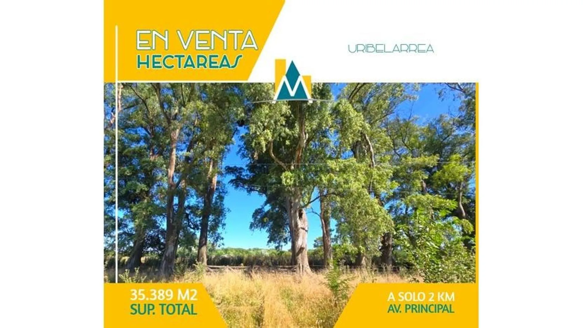 CAMPO EN VENTA EN CAÑUELAS