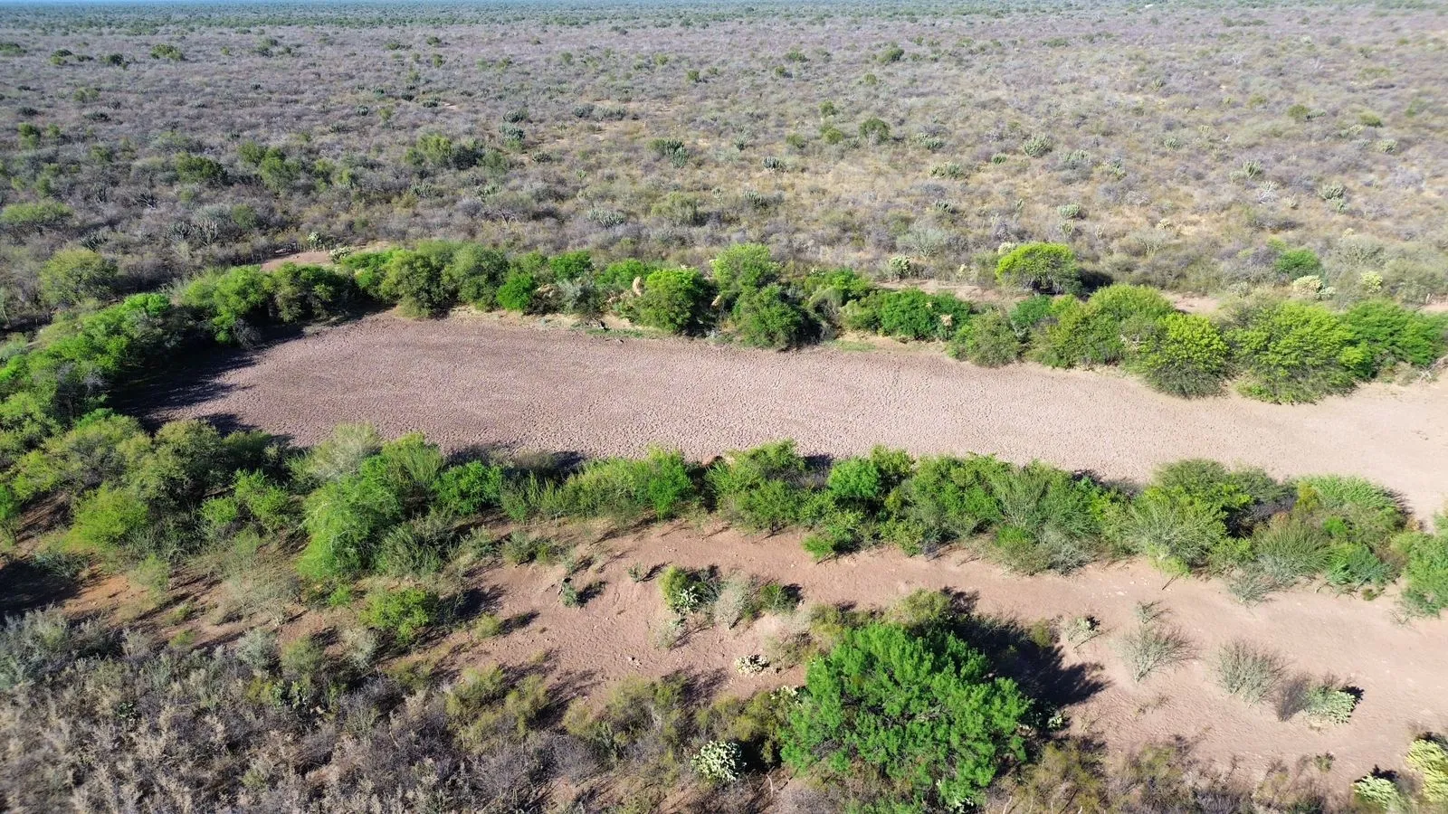 Campo ganadero paraje "El Quebracho" Chuña, Córdoba