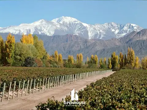 Terreno en Venta en Luján de Cuyo, Mendoza