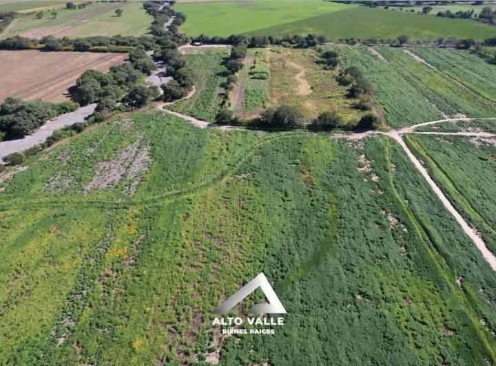 Campo · 385000ha