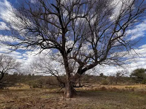 Terreno en Venta en Santa Rosa de Calamuchita, Calamuchita