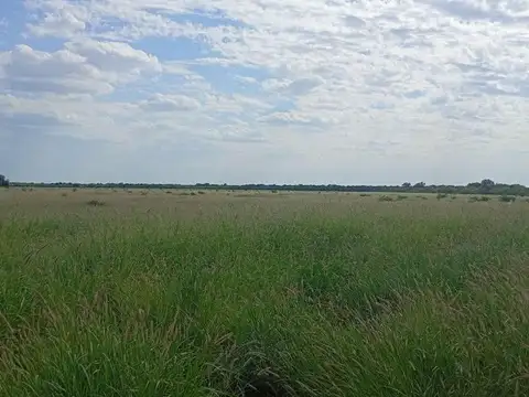 Campo en Venta en Serrezuela, Cruz del Eje