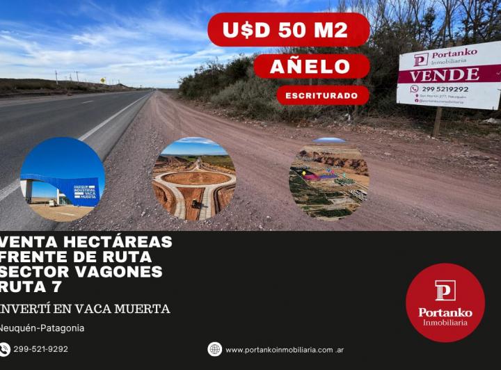 Campo · 3ha