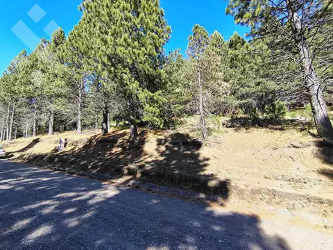 Terreno en Venta en San Martín de los Andes, Lácar