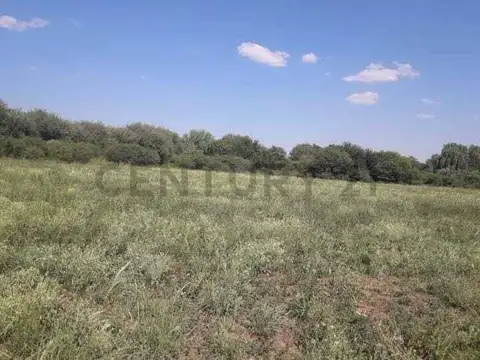 Campo en Venta en Villa de Soto, Cruz del Eje