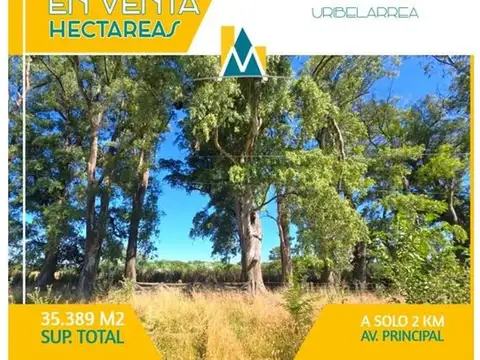 Campo en Venta en Uribelarrea, Partido de Cañuelas