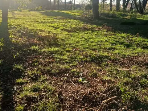 Terreno en Venta en Lisandro Olmos Etcheverry, Partido de La Plata