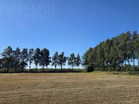 Terreno en Venta en Los Pinos, Exaltación de la Cruz