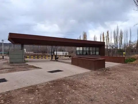Terreno en Venta en Perdriel, Luján de Cuyo