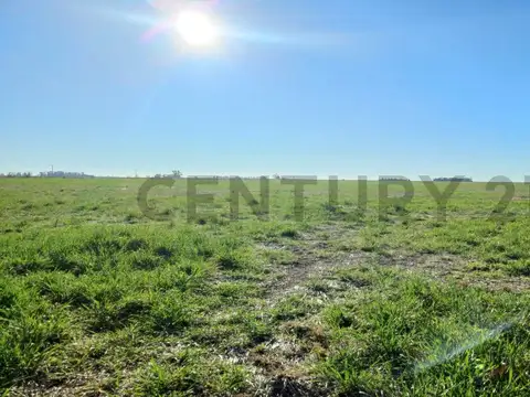 Campo en Venta en Murphy, General López