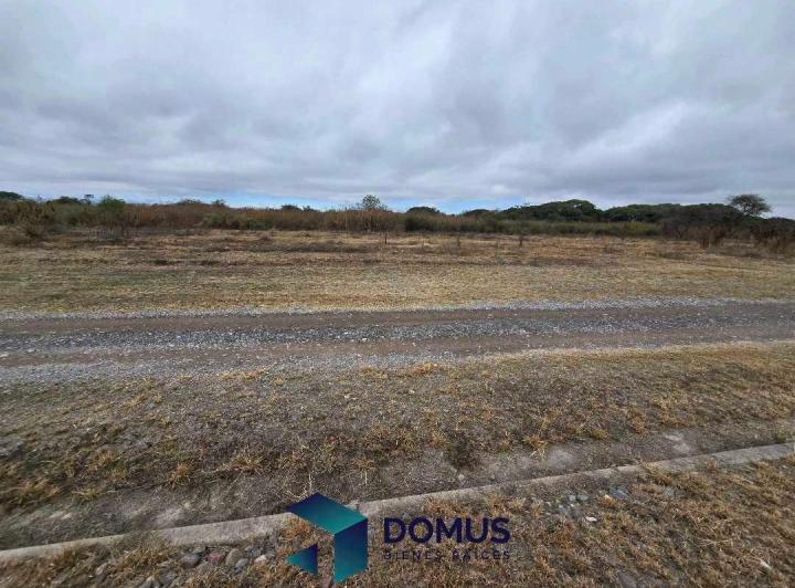 Terreno · 362m²