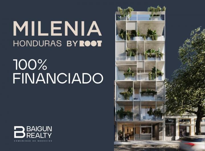 Desarrollo vertical