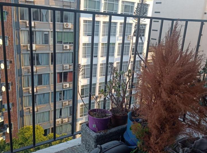 Departamento · 39m² · 2 Ambientes