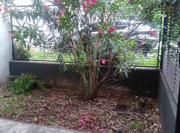 Departamento · 40m² · 1 Ambiente