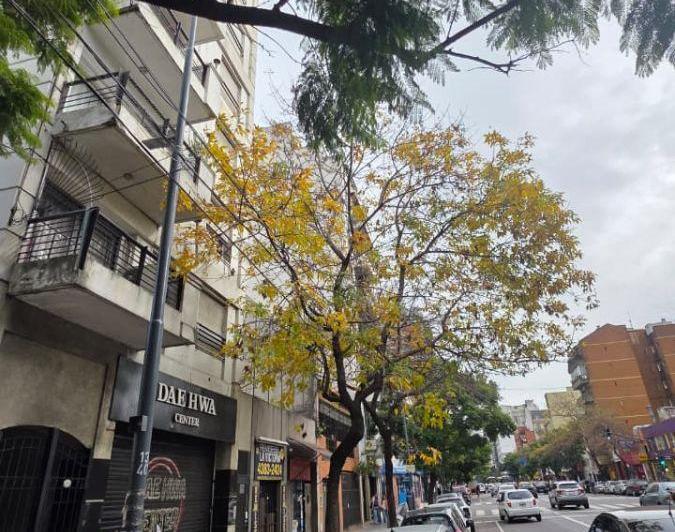 Departamento · 40m² · 2 Ambientes