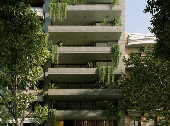 Desarrollo vertical