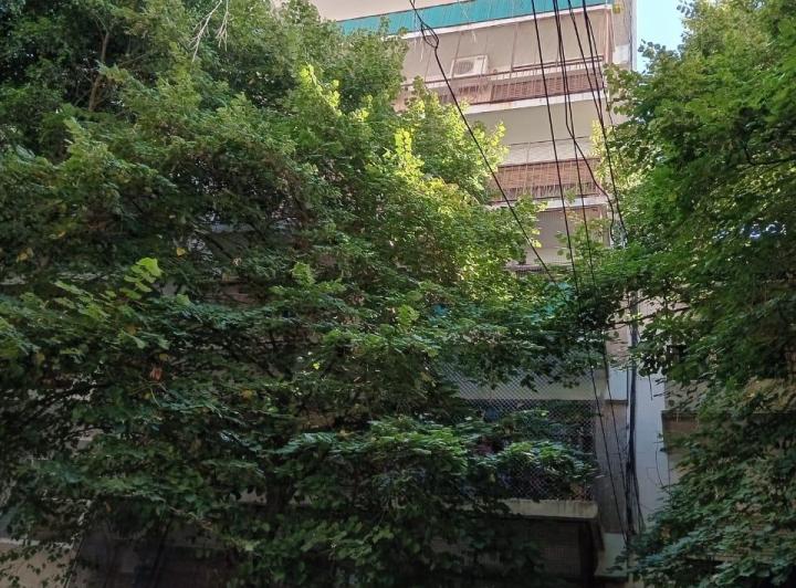 Departamento · 53m² · 3 Ambientes