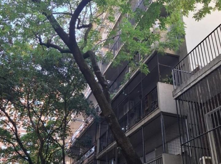Departamento · 72m² · 3 Ambientes · 1 Cochera