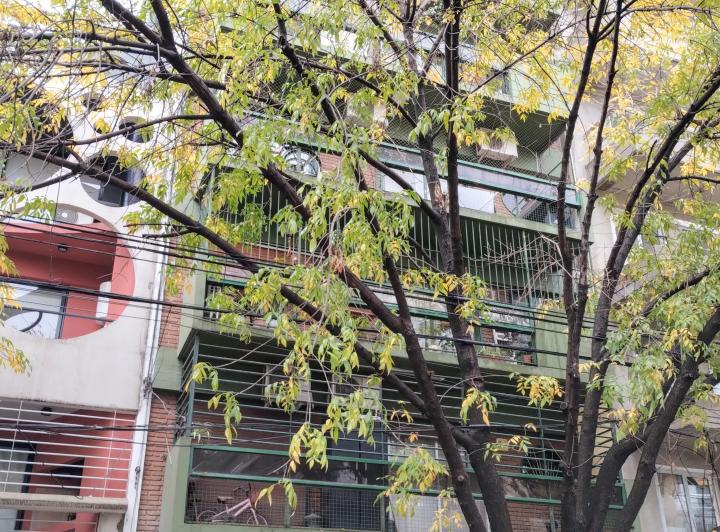 Departamento · 49m² · 3 Ambientes