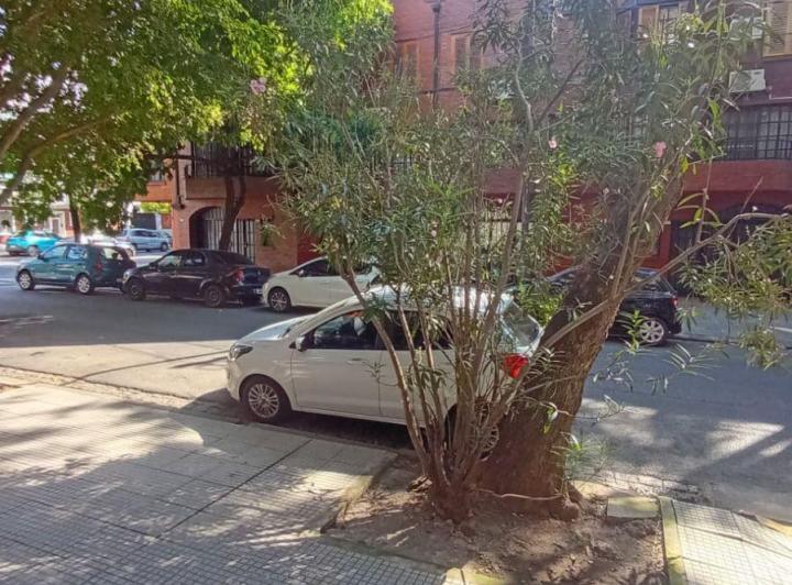 Departamento · 56m² · 3 Ambientes
