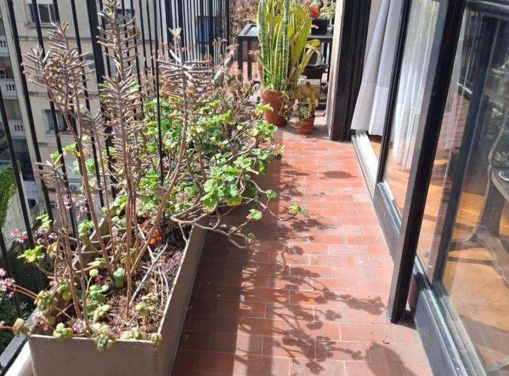 Departamento · 134m² · 3 Ambientes · 1 Cochera