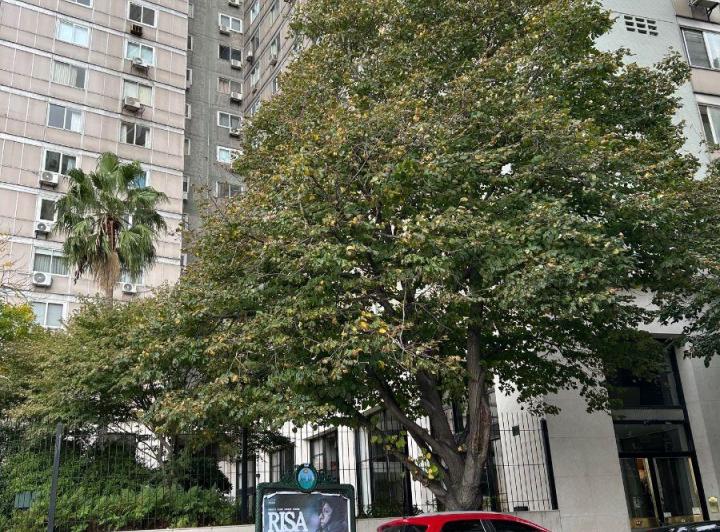 Departamento · 103m² · 3 Ambientes · 1 Cochera
