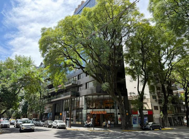 Departamento · 81m² · 3 Ambientes