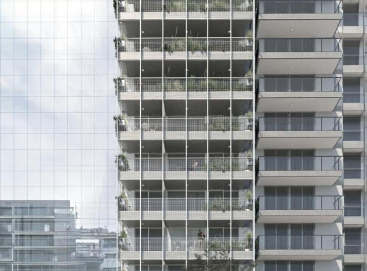 Desarrollo vertical