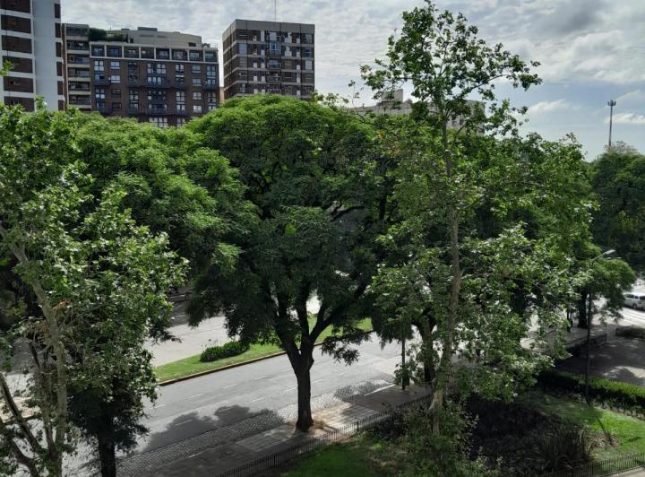 Departamento · 123m² · 4 Ambientes · 1 Cochera