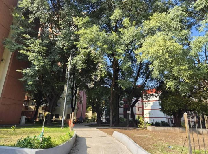 Departamento · 52m² · 3 Ambientes