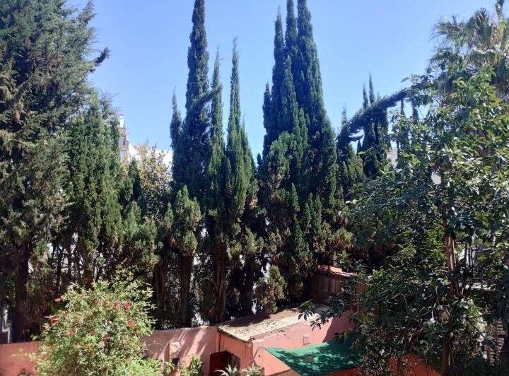 Departamento · 46m² · 1 Dormitorio