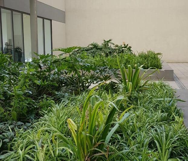 Departamento · 50m² · 2 Ambientes
