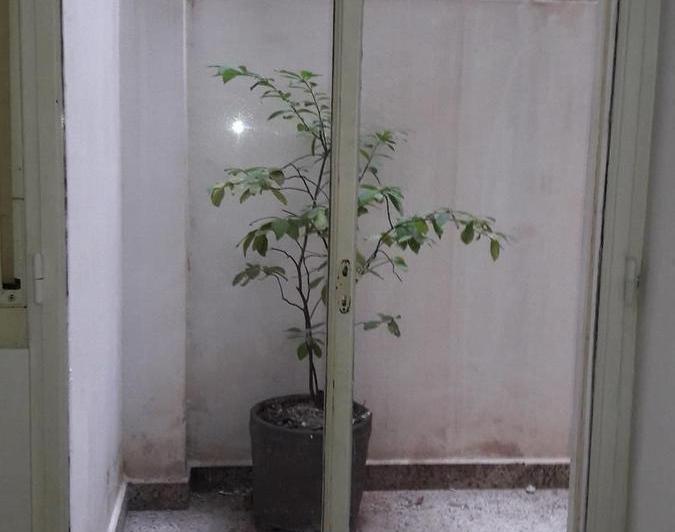 Departamento · 55m² · 3 Ambientes