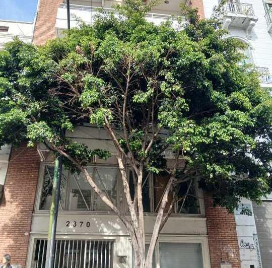 Departamento · 36ha · 2 Ambientes