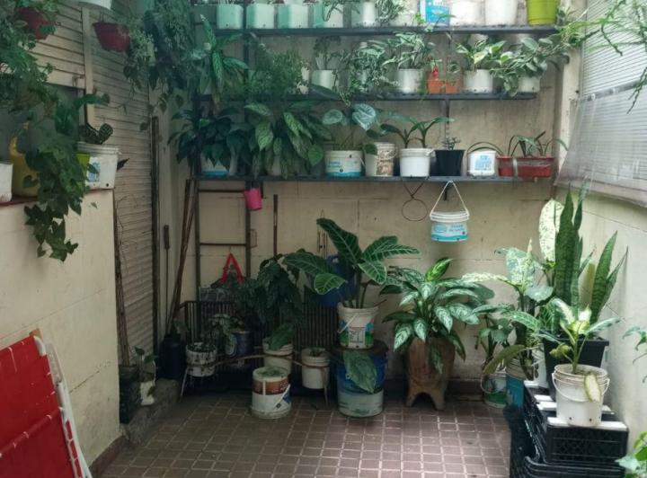 Departamento · 60m² · 3 Ambientes