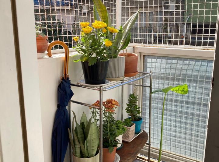 Departamento · 41m² · 2 Ambientes