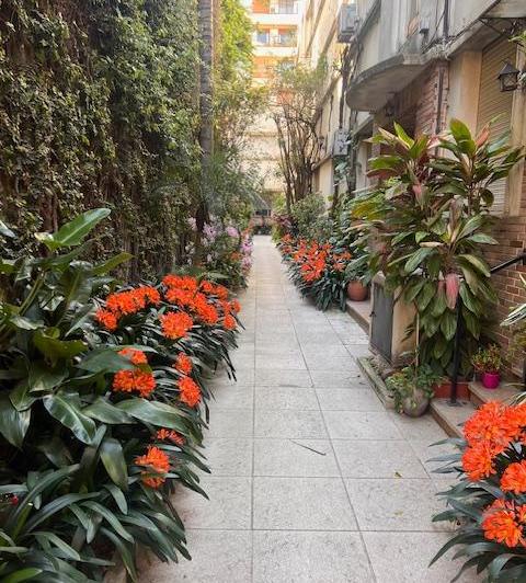 Departamento · 55m² · 3 Ambientes