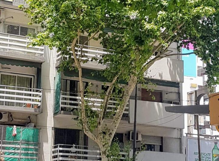 Departamento · 47m² · 3 Ambientes