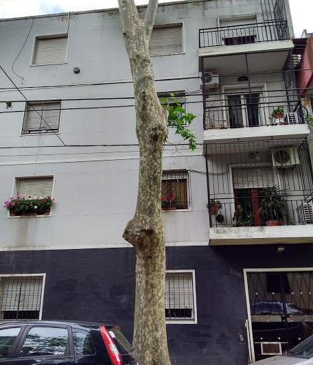 Departamento · 50m² · 2 Ambientes