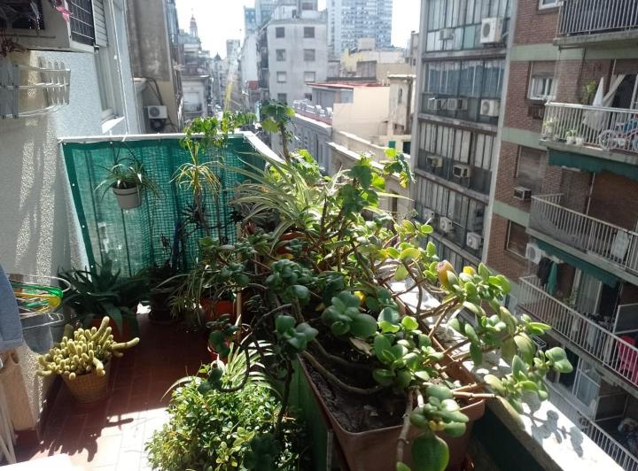 Departamento · 62m² · 3 Ambientes