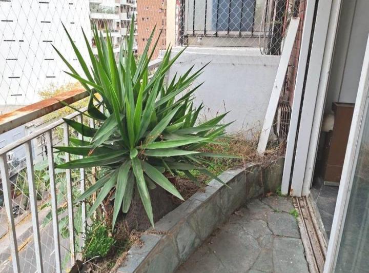 Departamento · 60m² · 3 Ambientes