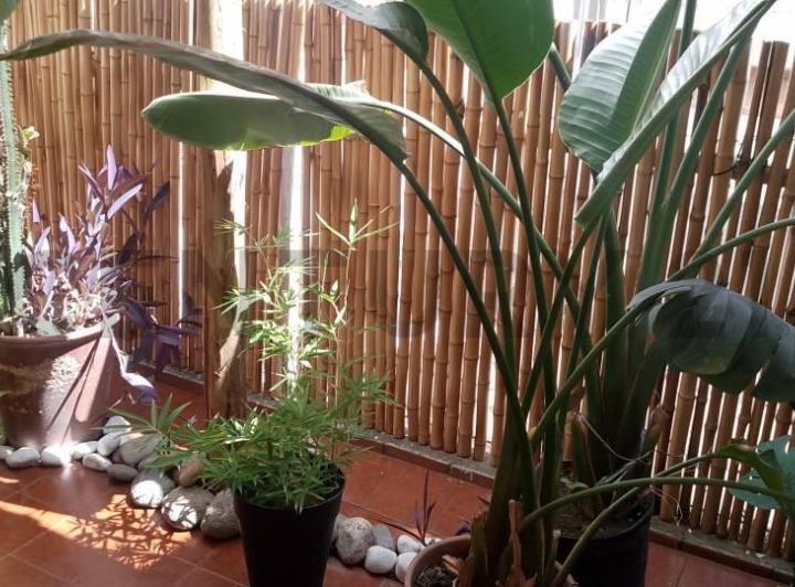 Departamento · 45m² · 2 Ambientes · 1 Cochera