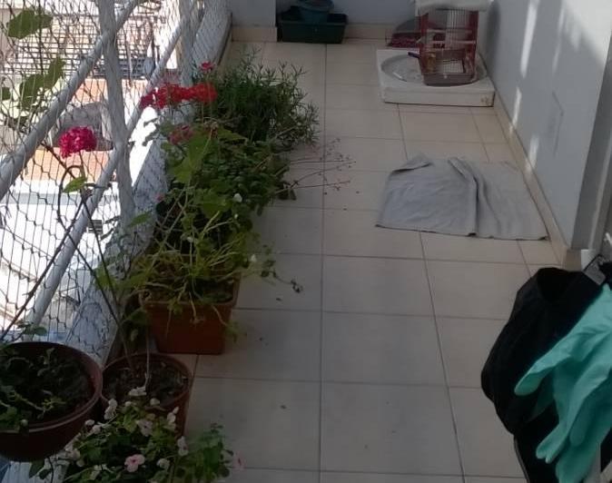 Departamento · 60m² · 3 Ambientes · 1 Cochera