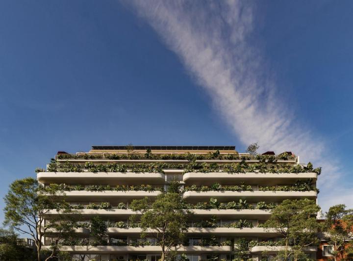 Desarrollo vertical