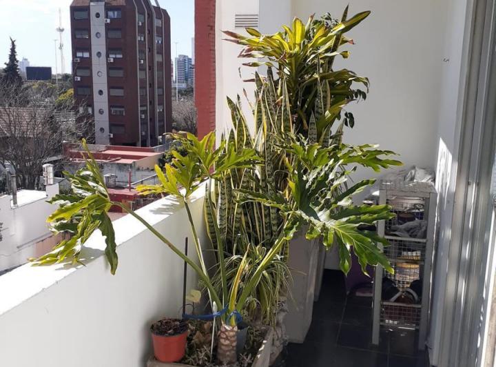 Departamento · 77m² · 3 Ambientes