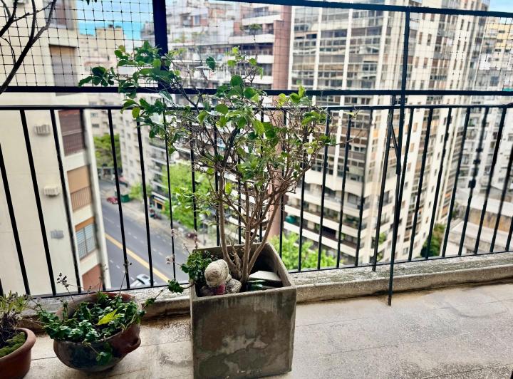 Departamento · 205m² · 6 Ambientes