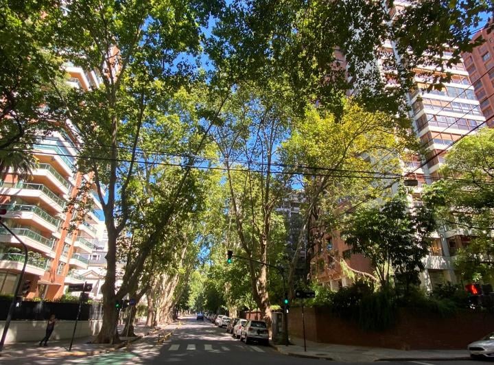 Departamento · 330m² · 7 Ambientes · 2 Cocheras