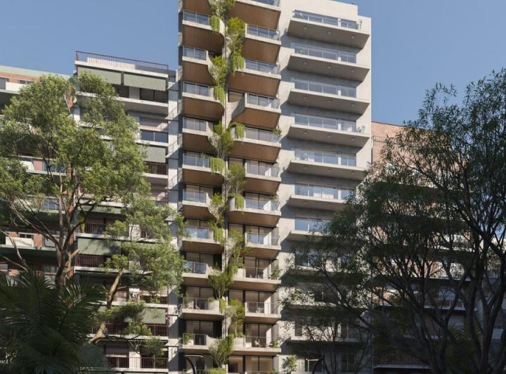 Desarrollo vertical